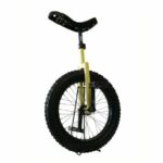 Offrir un monocycle : idée cadeau originale