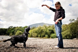 Idées cadeaux insolites pour les passionnés d&rsquo;animaux